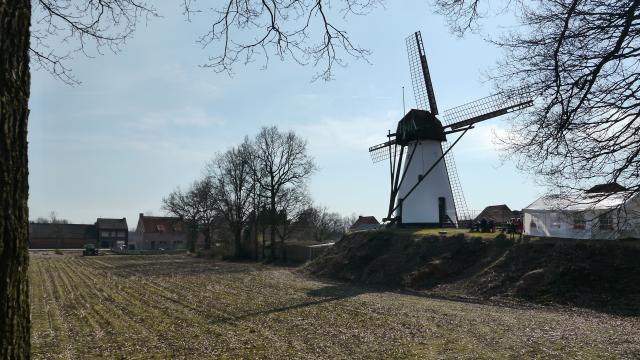 Minister Diependaele kent een premie toe voor de restauratie van de windmolen van Ezaart in Mol