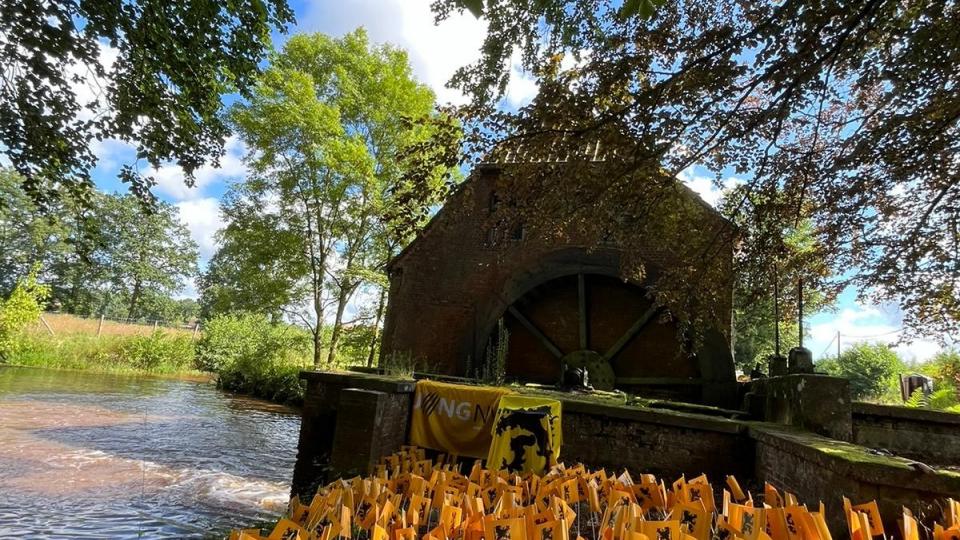 Jong N-VA Mol-Balen kleurt Balen en Mol zwart-geel