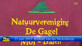 Kerkuil Molenhuisje te Mol - Met dank aan Natuurvereniging De Gagel